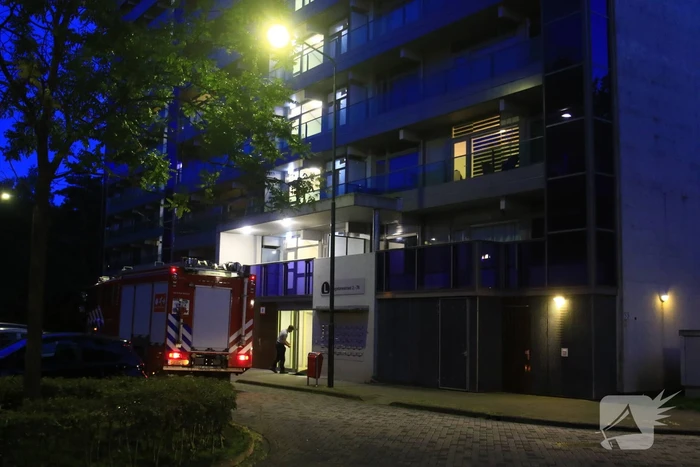 nieuws livingstonestraat geldrop