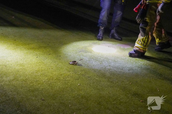 Vuurwerkbom en nitraten aangetroffen op voetbalveldje