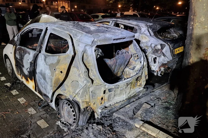 Twee auto's zwaar beschadigd door brand