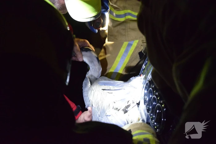 Reiger uit grill van auto bevrijdt