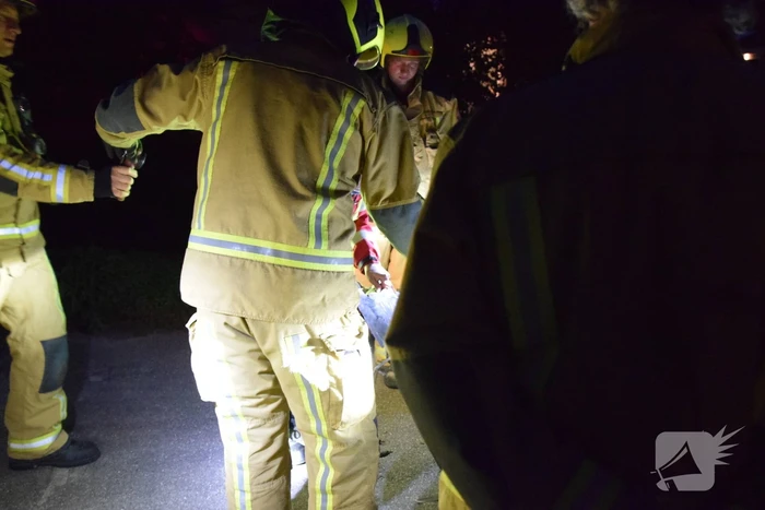 Reiger uit grill van auto bevrijdt
