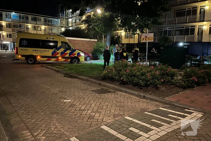 Kind geslagen door Poolse man
