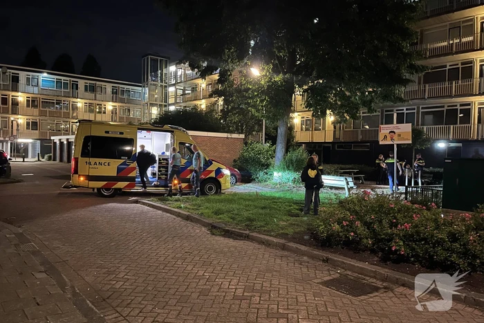 Kind geslagen door Poolse man