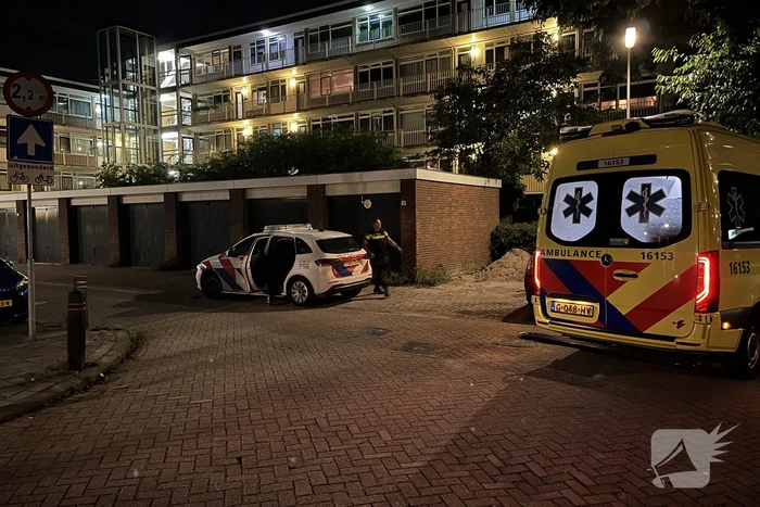 Kind geslagen door Poolse man
