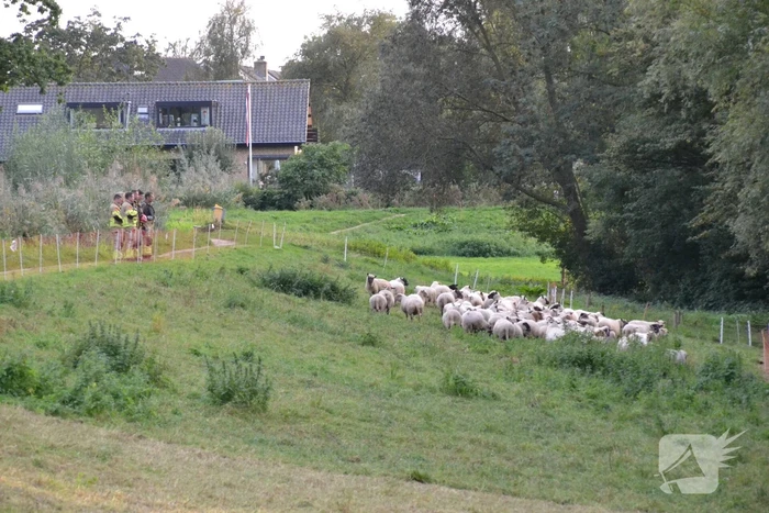 nieuws willem de zwijgerlaan waddinxveen