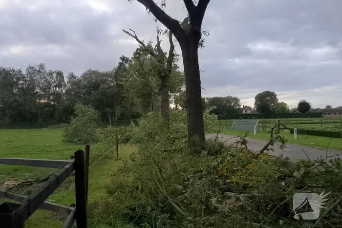 Woning zwaar beschadigd door rondvliegende takken