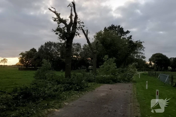 Woning zwaar beschadigd door rondvliegende takken
