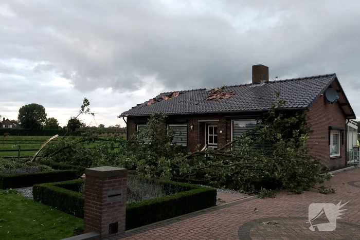 Woning zwaar beschadigd door rondvliegende takken