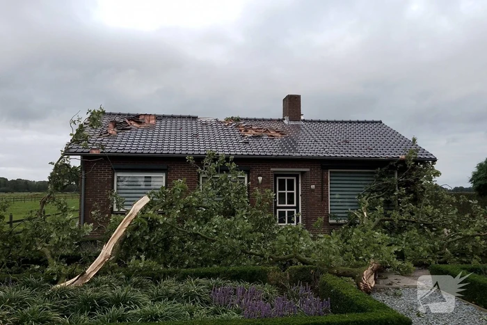 Woning zwaar beschadigd door rondvliegende takken