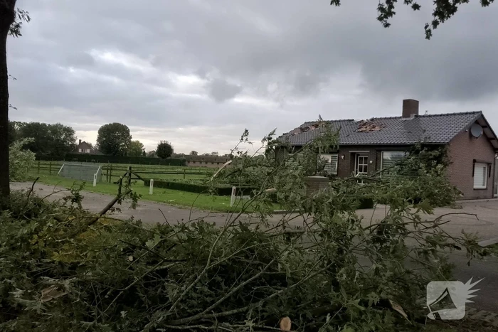 Woning zwaar beschadigd door rondvliegende takken