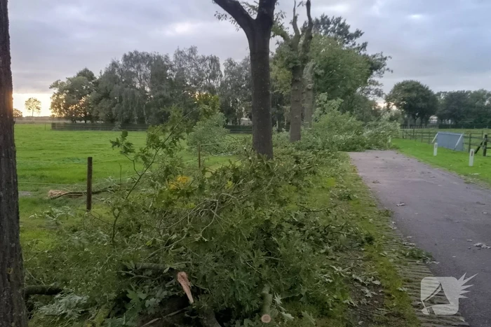 Woning zwaar beschadigd door rondvliegende takken