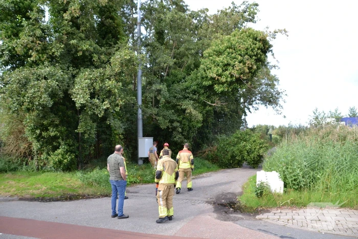 Gevaarlijk hangende boom verwijderd