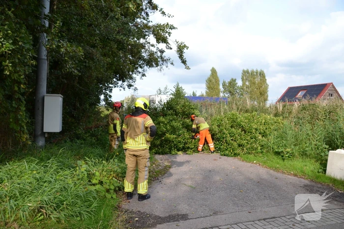 Gevaarlijk hangende boom verwijderd