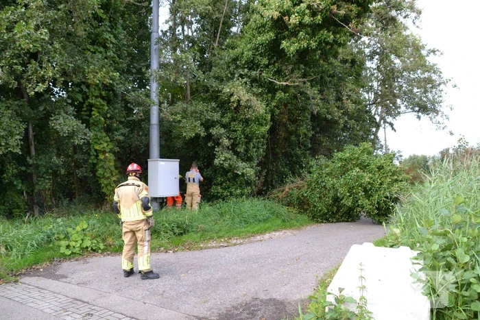 Gevaarlijk hangende boom verwijderd