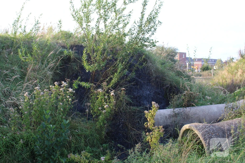 Duinvalleipad 112 melding Katwijk 