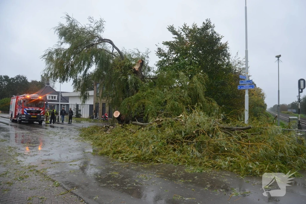 Oastersingel Nieuws De Westereen 