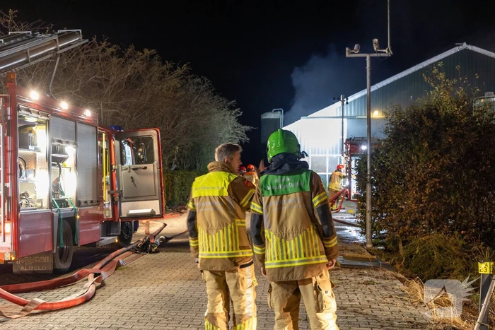 Honderden koeien gered bij uitslaande brand