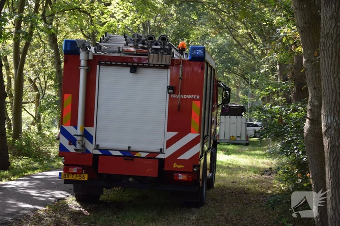 Ruiter gewond bij val in bos