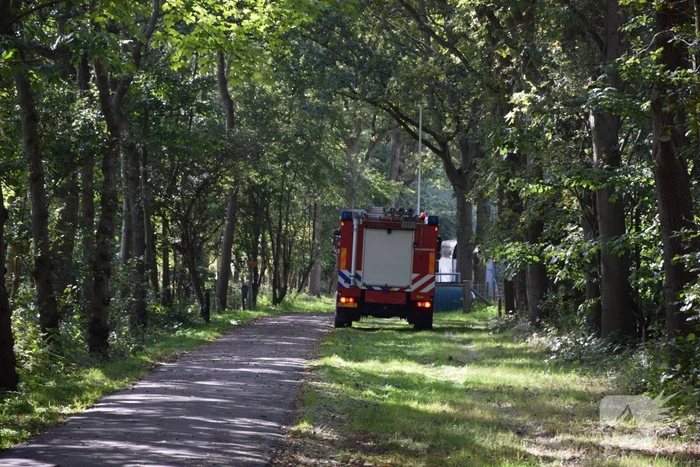 Ruiter gewond bij val in bos