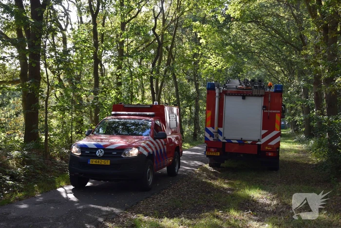 Ruiter gewond bij val in bos