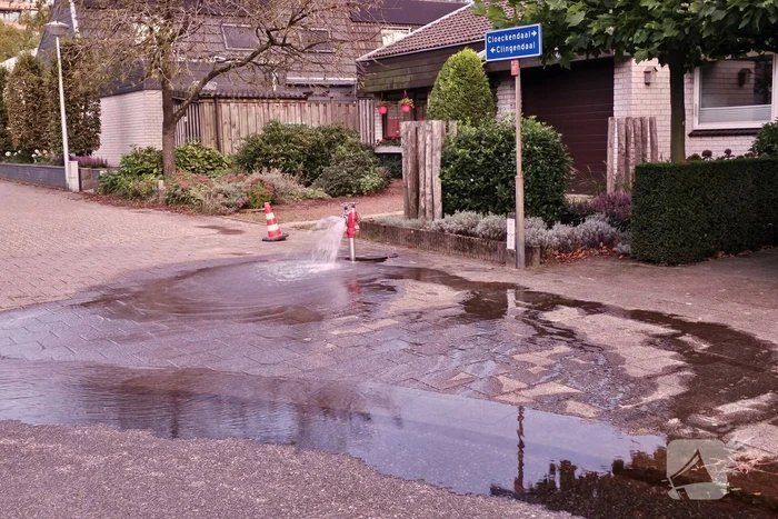 waterlekkage cloeckendaal ede
