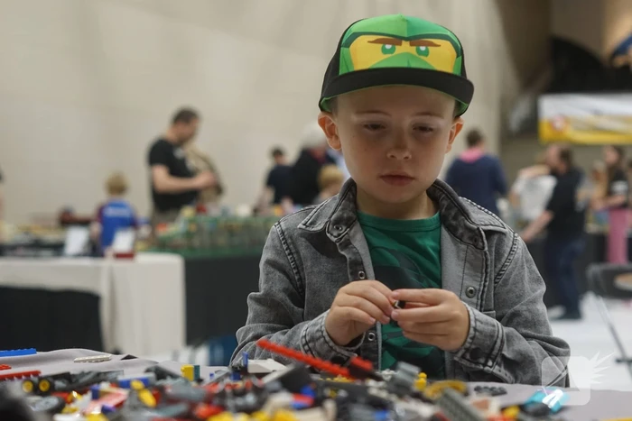 LEGO-liefhebbers bewonderen tentoongestelde creaties