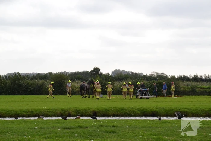 Brandweer ingezet voor te water geraakt paard