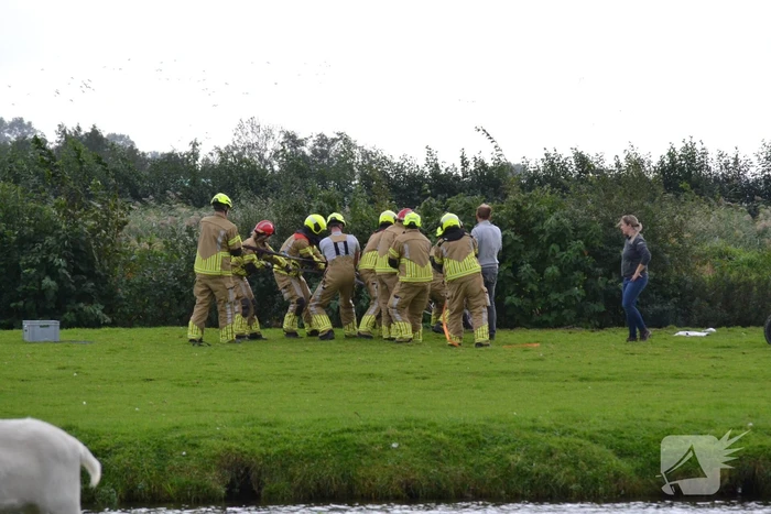 Brandweer ingezet voor te water geraakt paard