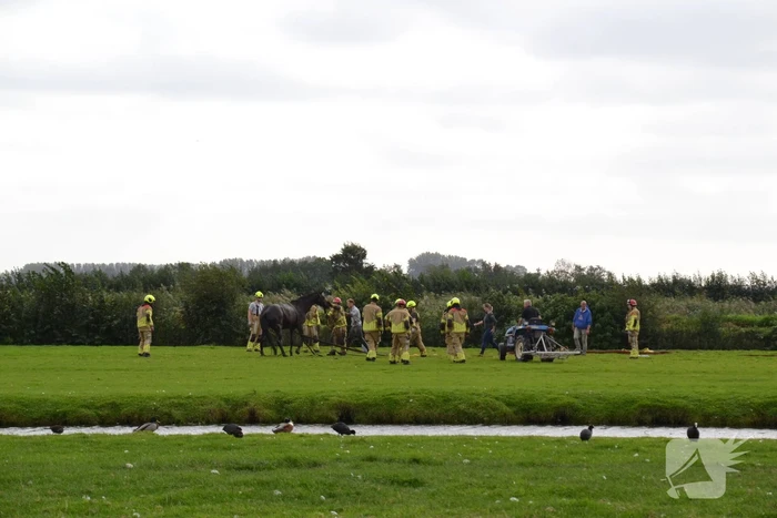Brandweer ingezet voor te water geraakt paard