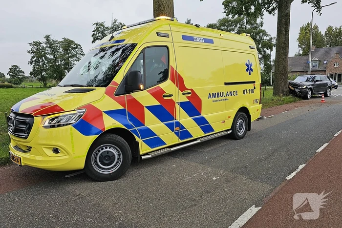 Range Rover klapt op boom bestuurder gewond