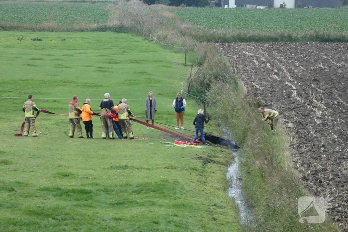 Paard gered uit sloot door brandweer