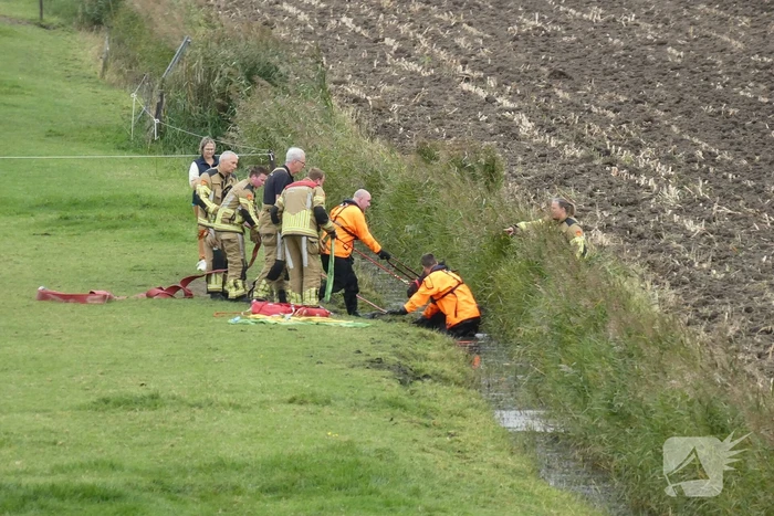 Paard gered uit sloot door brandweer