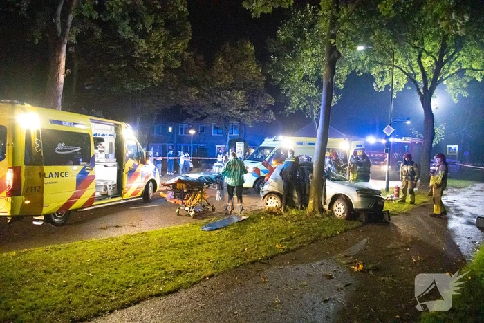Auto zwaar beschadigd door botsing tegen boom