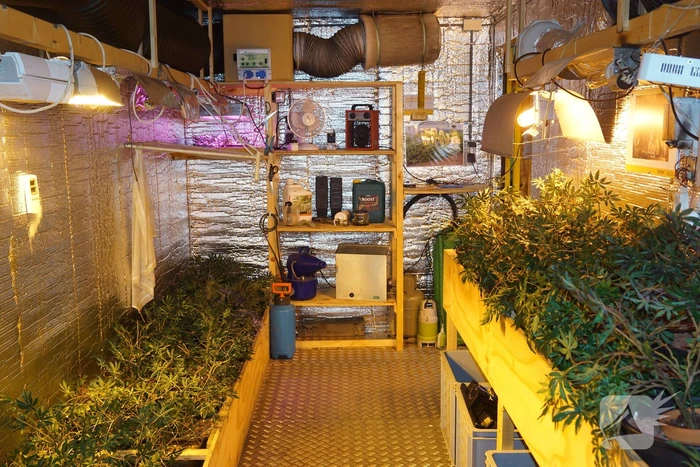Levensechte hennepkwekerij in centrum