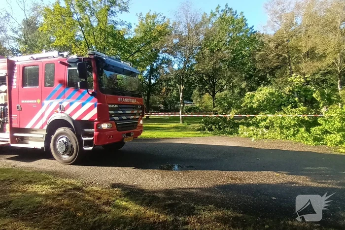 Brandweer ingezet voor afgebroken tak
