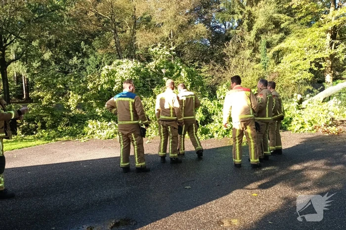 Brandweer ingezet voor afgebroken tak
