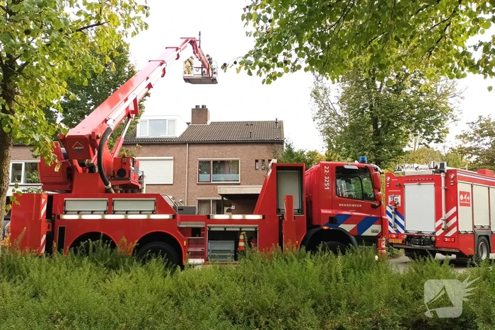 Brand in schoorsteen snel onder controle