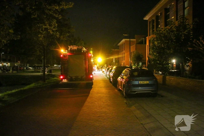Brandweer dooft schoorsteenbrand