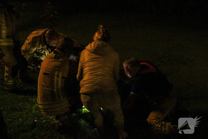 Hond door brandweer uit sloot gered