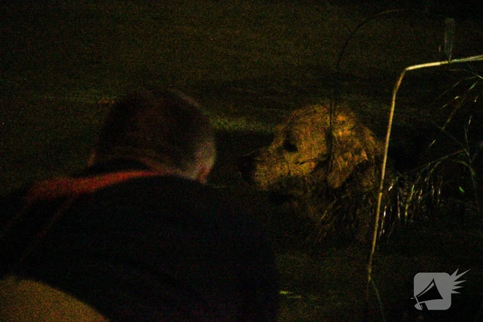 Hond door brandweer uit sloot gered
