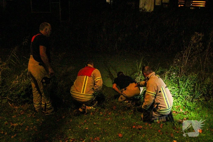 Hond door brandweer uit sloot gered