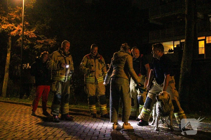 Hond door brandweer uit sloot gered