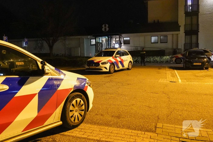Grote politie-inzet bij massale vechtpartij