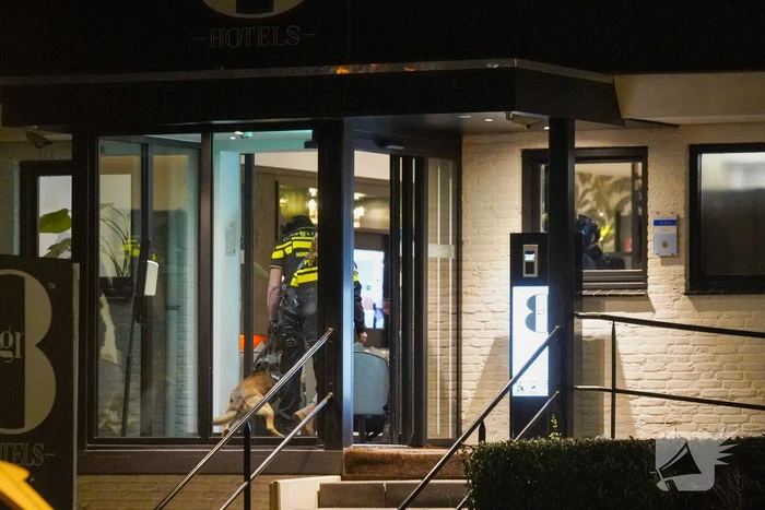 Grote politie-inzet bij massale vechtpartij