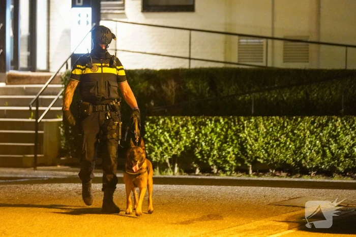 Grote politie-inzet bij massale vechtpartij