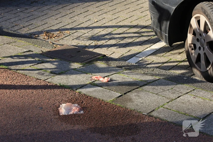 Persoon gewond na steekpartij