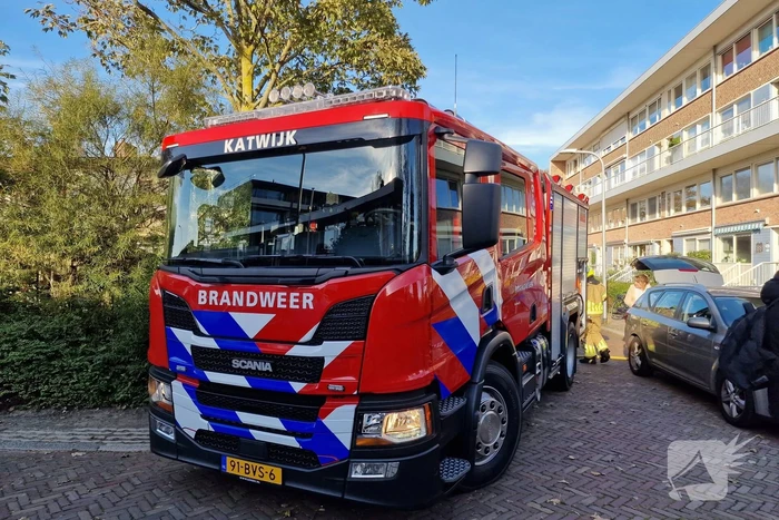 Bosschage gaat in vlammen op