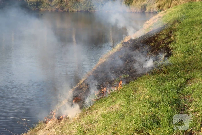 Gras in slootkant vat vlam