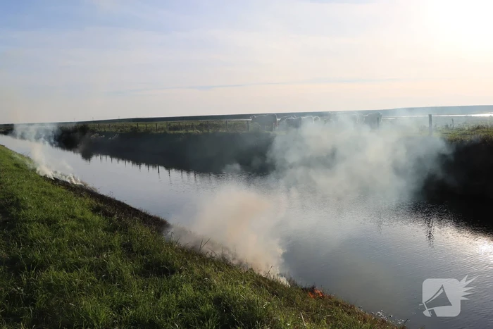 Gras in slootkant vat vlam