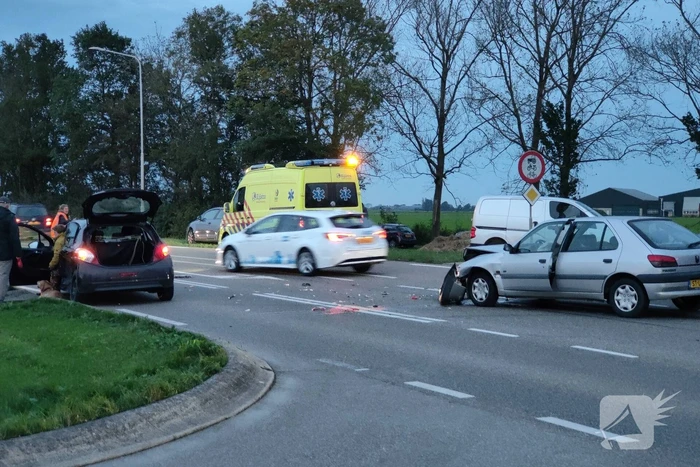 Persoon en hond gewond bij botsing op kruising
